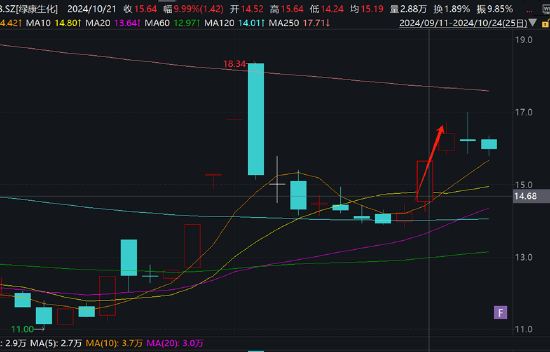 绿康生化故技重施？曾借重组引燃股价高管高位减持 百兴系百佳年代质地欠佳-第3张图片-贵阳人才网