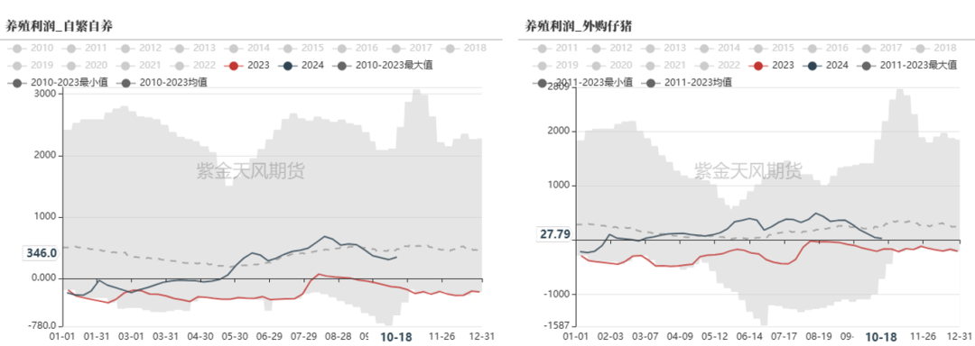 云评论 | 玉米：一点寒芒先到-第7张图片-贵阳人才网