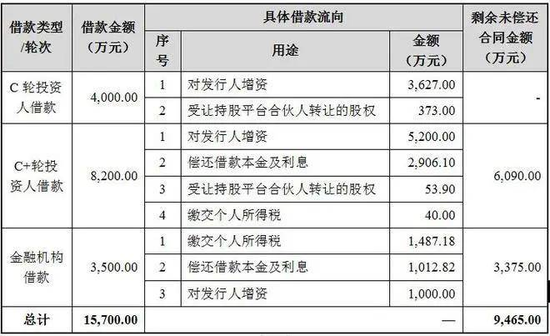 胜科纳米IPO：实控人举债增持公司股份，二十年押上全部身家，办出“芯片全科医院”-第2张图片-贵阳人才网