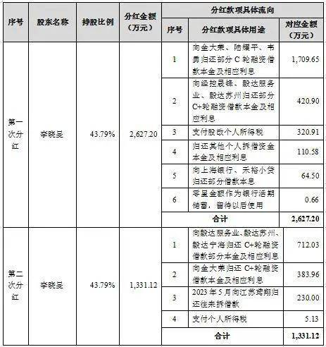 胜科纳米IPO：实控人举债增持公司股份，二十年押上全部身家，办出“芯片全科医院”-第3张图片-贵阳人才网