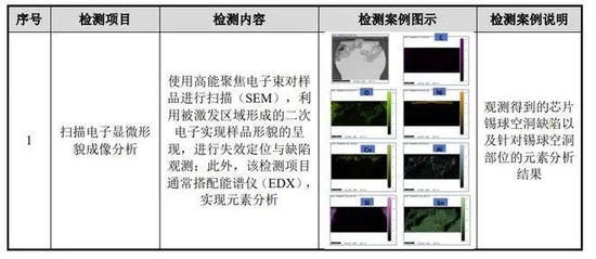 胜科纳米IPO：实控人举债增持公司股份，二十年押上全部身家，办出“芯片全科医院”-第4张图片-贵阳人才网