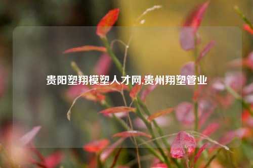 贵阳塑翔模塑人才网,贵州翔塑管业