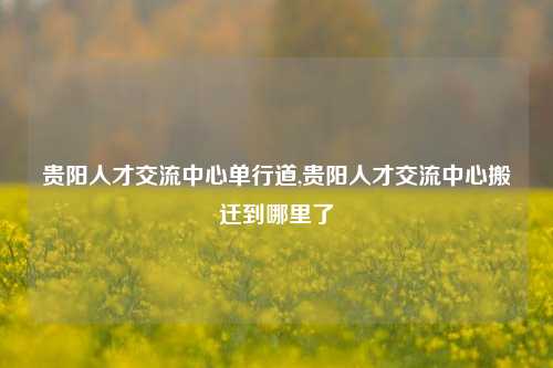 贵阳人才交流中心单行道,贵阳人才交流中心搬迁到哪里了