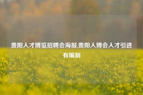 贵阳人才博览招聘会海报,贵阳人博会人才引进有编制