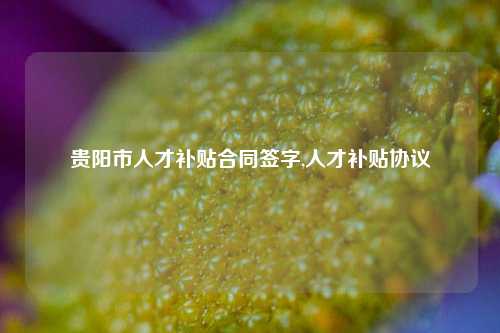 贵阳市人才补贴合同签字,人才补贴协议-第1张图片-贵阳人才网