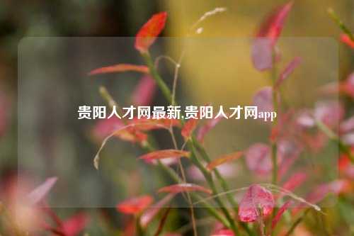 贵阳人才网最新,贵阳人才网app