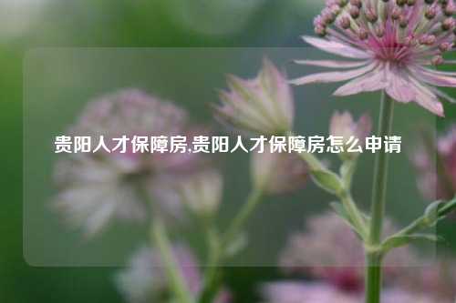 贵阳人才保障房,贵阳人才保障房怎么申请