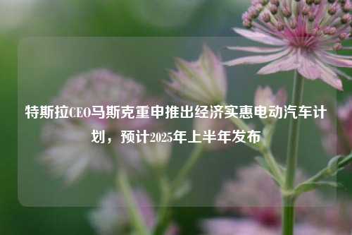 特斯拉CEO马斯克重申推出经济实惠电动汽车计划，预计2025年上半年发布-第1张图片-贵阳人才网