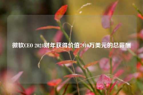 微软CEO 2024财年获得价值7910万美元的总薪酬-第1张图片-贵阳人才网