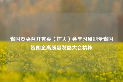 省国资委召开党委（扩大）会学习贯彻全省国资国企高质量发展大会精神