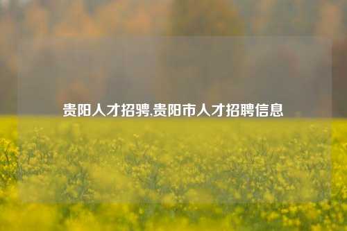 贵阳人才招骋,贵阳市人才招聘信息