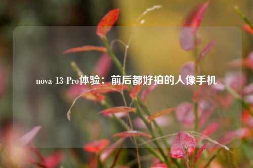 nova 13 Pro体验：前后都好拍的人像手机-第1张图片-贵阳人才网