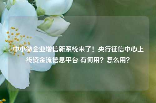 中小微企业增信新系统来了！央行征信中心上线资金流信息平台 有何用？怎么用？