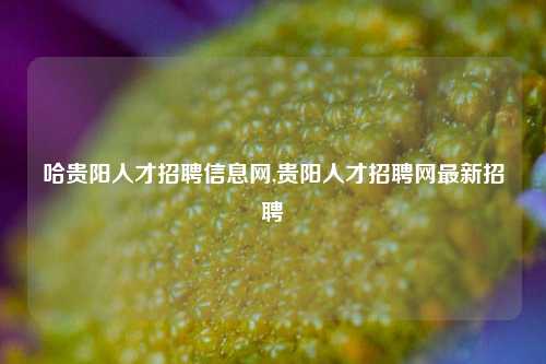 哈贵阳人才招聘信息网,贵阳人才招聘网最新招聘