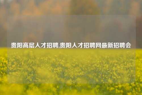 贵阳高层人才招聘,贵阳人才招聘网最新招聘会