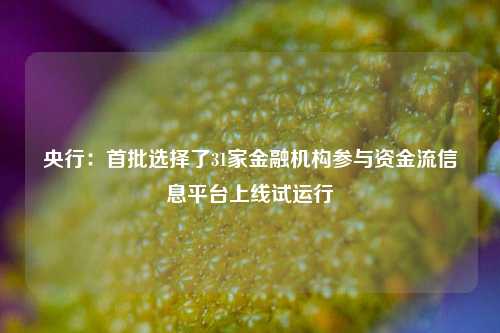 央行：首批选择了31家金融机构参与资金流信息平台上线试运行-第1张图片-贵阳人才网