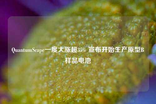 QuantumScape一度大涨超35% 宣布开始生产原型B样品电池-第1张图片-贵阳人才网