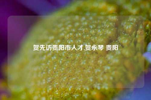 贺先访贵阳市人才,贺永琴 贵阳-第1张图片-贵阳人才网