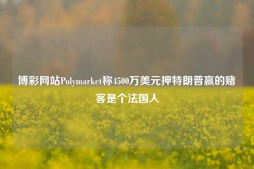 博彩网站Polymarket称4500万美元押特朗普赢的赌客是个法国人-第1张图片-贵阳人才网