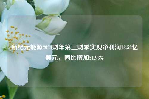 新纪元能源2024财年第三财季实现净利润18.52亿美元，同比增加51.93%-第1张图片-贵阳人才网