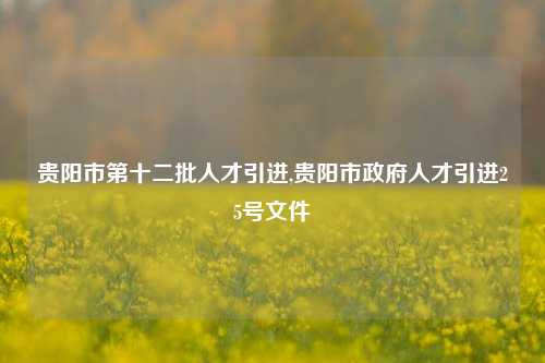 贵阳市第十二批人才引进,贵阳市政府人才引进25号文件-第1张图片-贵阳人才网