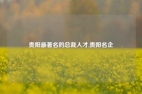 贵阳最著名的总裁人才,贵阳名企-第1张图片-贵阳人才网