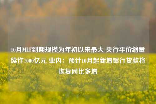 10月MLF到期规模为年初以来最大 央行平价缩量续作7000亿元 业内：预计10月起新增银行贷款将恢复同比多增-第1张图片-贵阳人才网