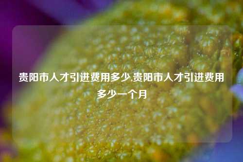 贵阳市人才引进费用多少,贵阳市人才引进费用多少一个月-第1张图片-贵阳人才网