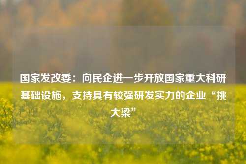 国家发改委：向民企进一步开放国家重大科研基础设施，支持具有较强研发实力的企业“挑大梁”-第1张图片-贵阳人才网