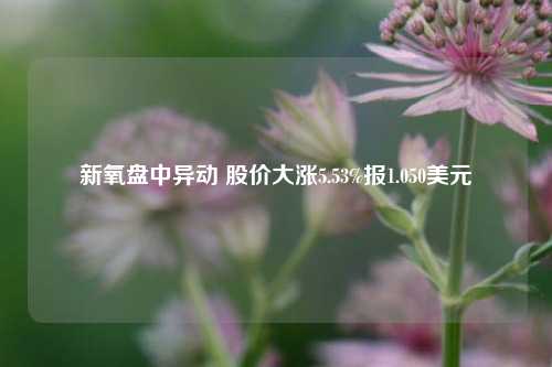 新氧盘中异动 股价大涨5.53%报1.050美元-第1张图片-贵阳人才网