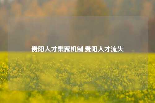 贵阳人才集聚机制,贵阳人才流失-第1张图片-贵阳人才网