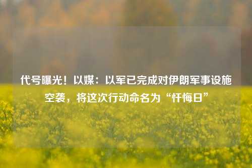 代号曝光！以媒：以军已完成对伊朗军事设施空袭，将这次行动命名为“忏悔日”-第1张图片-贵阳人才网