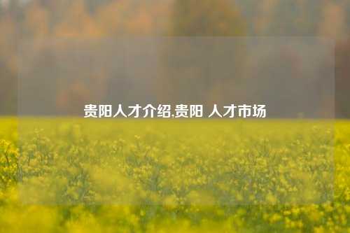 贵阳人才介绍,贵阳 人才市场