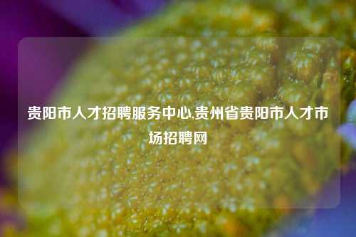 贵阳市人才招聘服务中心,贵州省贵阳市人才市场招聘网-第1张图片-贵阳人才网