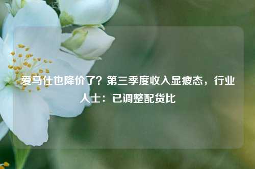 爱马仕也降价了？第三季度收入显疲态，行业人士：已调整配货比-第1张图片-贵阳人才网