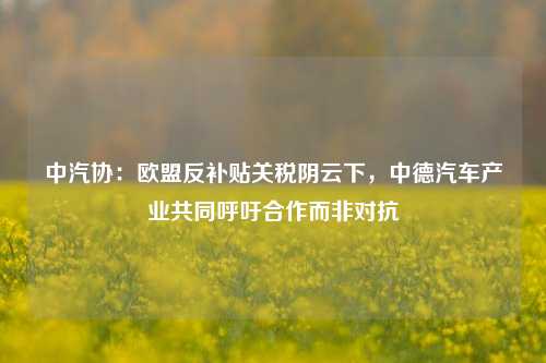 中汽协：欧盟反补贴关税阴云下，中德汽车产业共同呼吁合作而非对抗