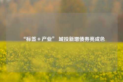 “标签＋产业” 城投新增债券亮成色-第1张图片-贵阳人才网