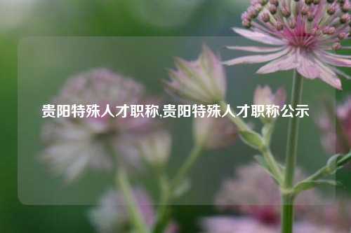 贵阳特殊人才职称,贵阳特殊人才职称公示