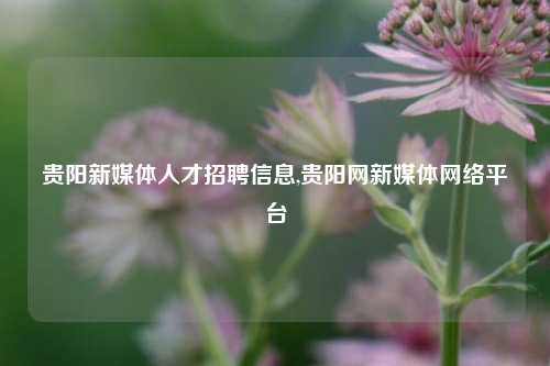 贵阳新媒体人才招聘信息,贵阳网新媒体网络平台