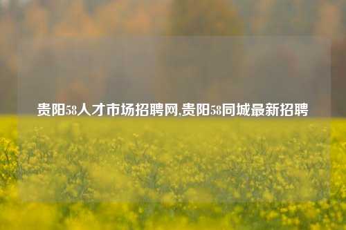 贵阳58人才市场招聘网,贵阳58同城最新招聘