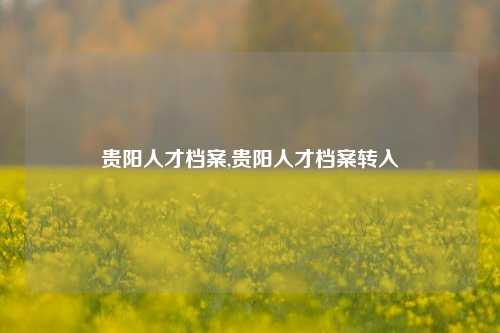 贵阳人才档案,贵阳人才档案转入