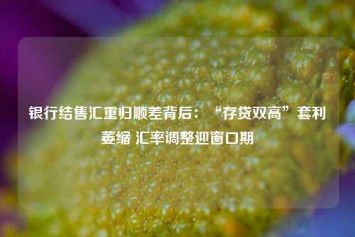 银行结售汇重归顺差背后：“存贷双高”套利萎缩 汇率调整迎窗口期-第1张图片-贵阳人才网