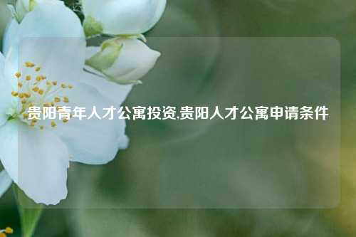 贵阳青年人才公寓投资,贵阳人才公寓申请条件