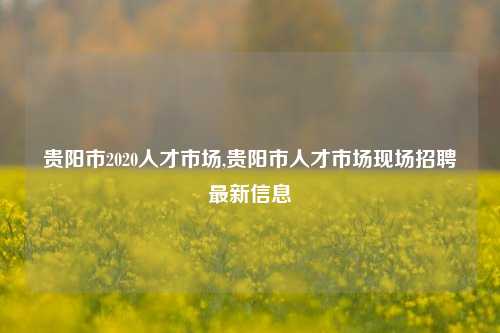 贵阳市2020人才市场,贵阳市人才市场现场招聘最新信息