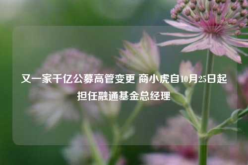 又一家千亿公募高管变更 商小虎自10月25日起担任融通基金总经理-第1张图片-贵阳人才网