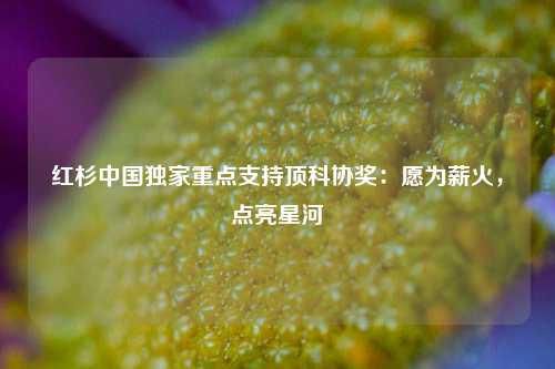 红杉中国独家重点支持顶科协奖：愿为薪火，点亮星河