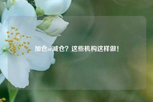 加仓or减仓？这些机构这样做！-第1张图片-贵阳人才网