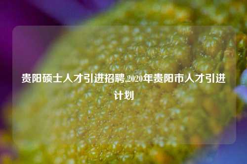 贵阳硕士人才引进招聘,2020年贵阳市人才引进计划-第1张图片-贵阳人才网