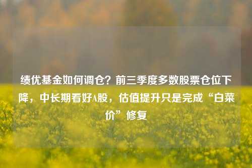 绩优基金如何调仓？前三季度多数股票仓位下降，中长期看好A股，估值提升只是完成“白菜价”修复