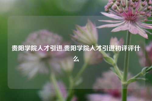 贵阳学院人才引进,贵阳学院人才引进初评评什么